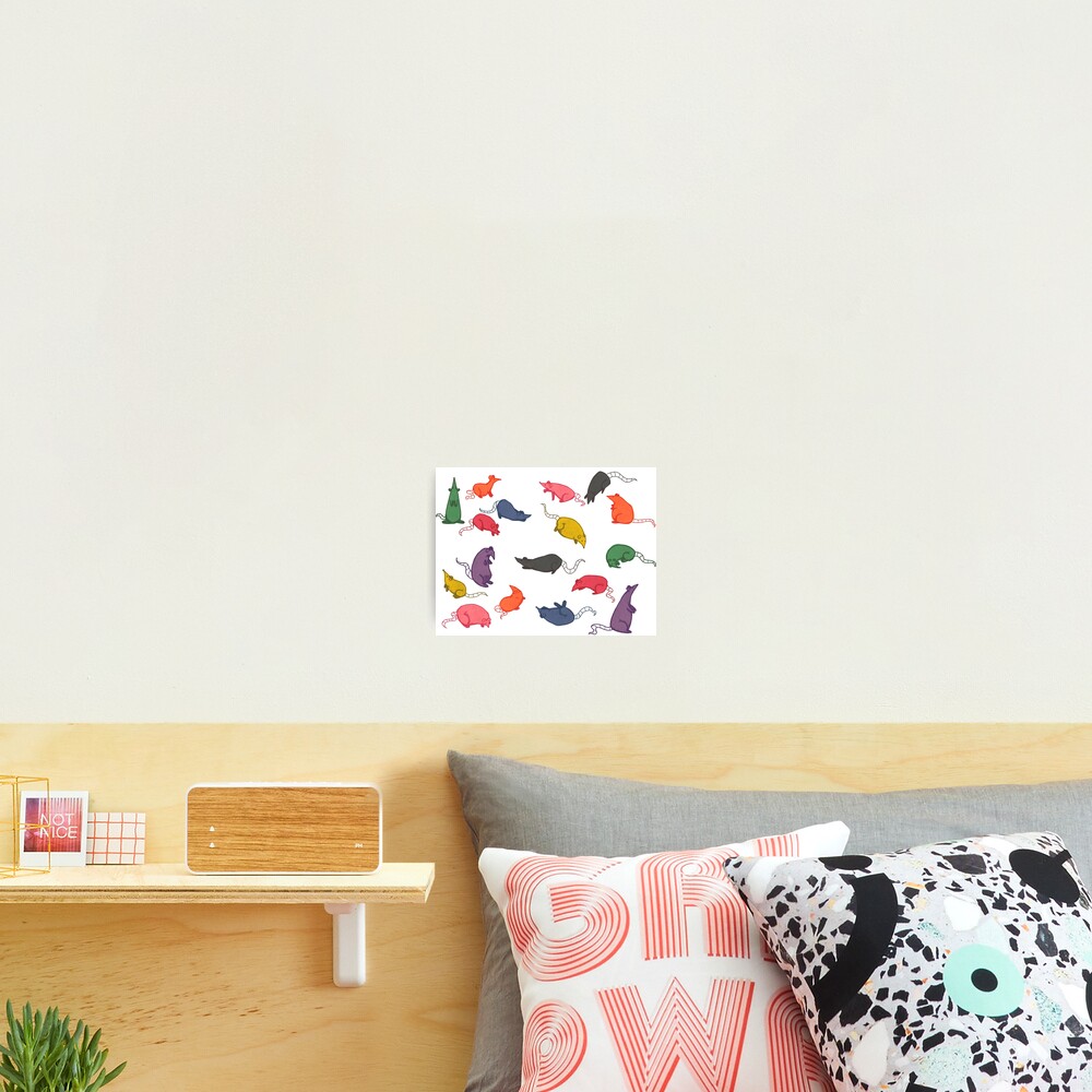 Item preview, Photographic Print designed and sold by unicornlasercat.