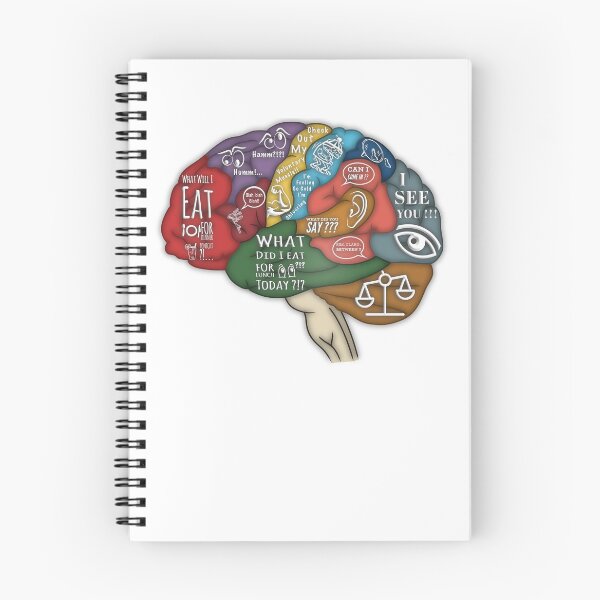 Item preview, How the brain works designed and sold by Arvoredum.