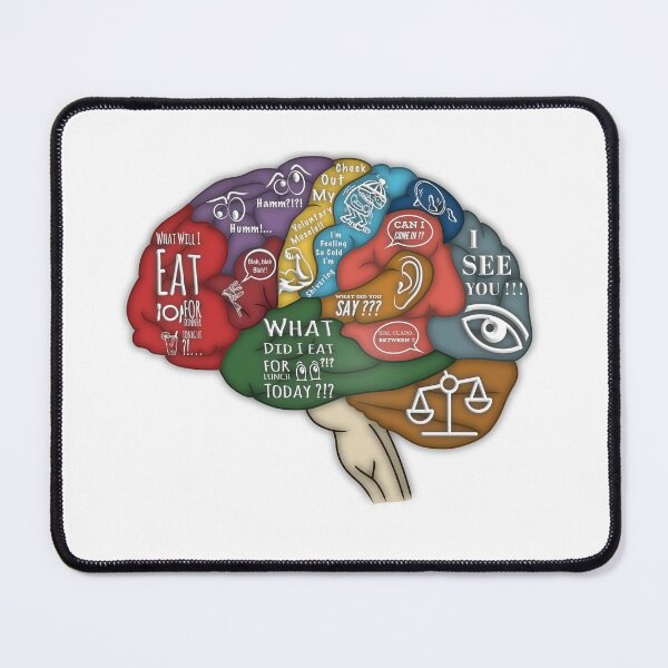Item preview, How the brain works designed and sold by Arvoredum.
