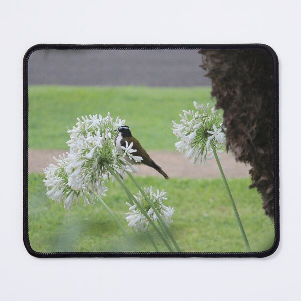 Item preview, loving the nectar designed and sold by ljdewet.