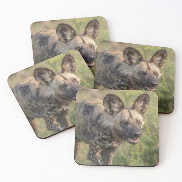 Item preview, Painted Dog Botswana Africa 3 designed and sold by PhotoArt by Joan Carroll.
