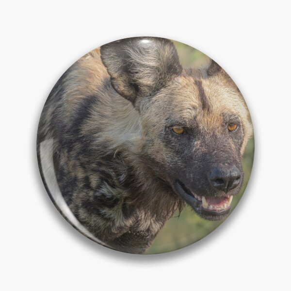 Item preview, Painted Dog Botswana Africa 3 designed and sold by PhotoArt by Joan Carroll.