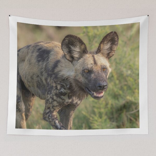 Item preview, Painted Dog Botswana Africa 3 designed and sold by PhotoArt by Joan Carroll.