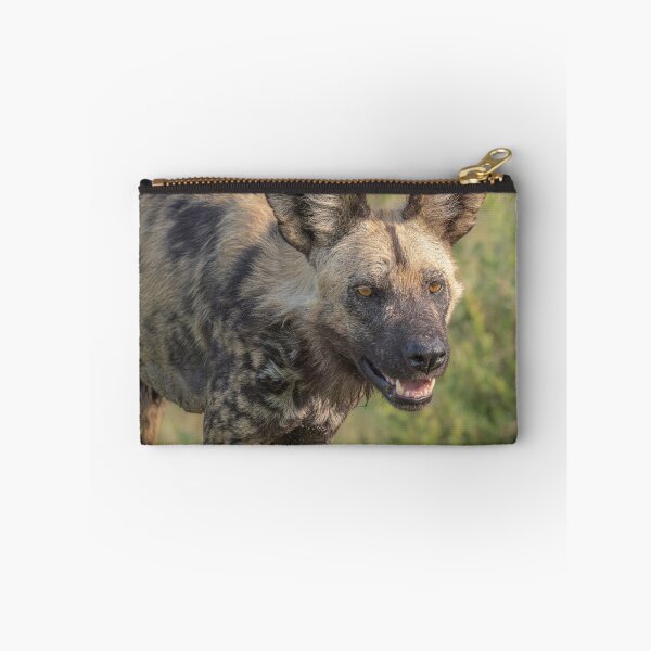 Item preview, Painted Dog Botswana Africa 3 designed and sold by PhotoArt by Joan Carroll.