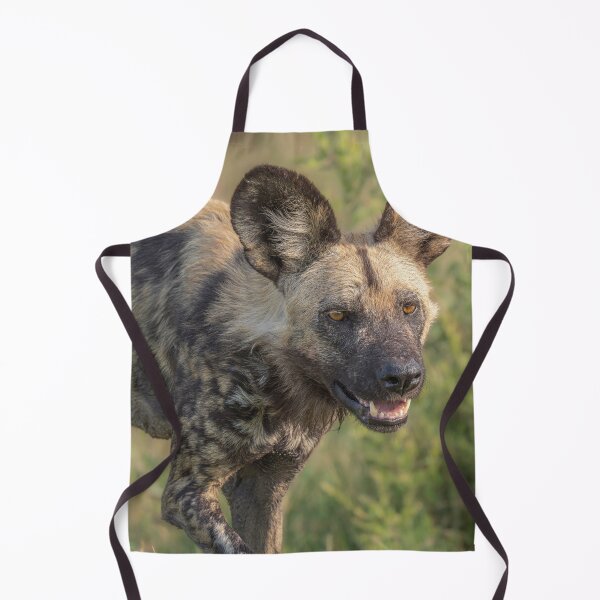 Item preview, Painted Dog Botswana Africa 3 designed and sold by PhotoArt by Joan Carroll.