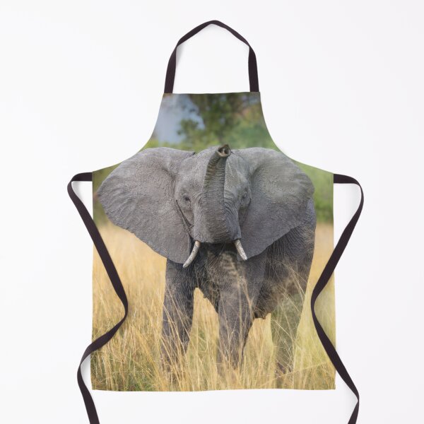 Item preview, Elephant with Raised Trunk Botswana Africa designed and sold by PhotoArt by Joan Carroll.