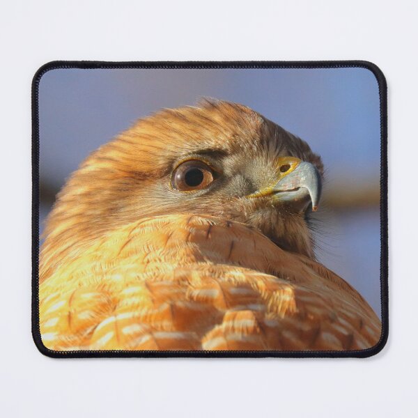 Item preview, Red shouldered hawk designed and sold by Parks and X.
