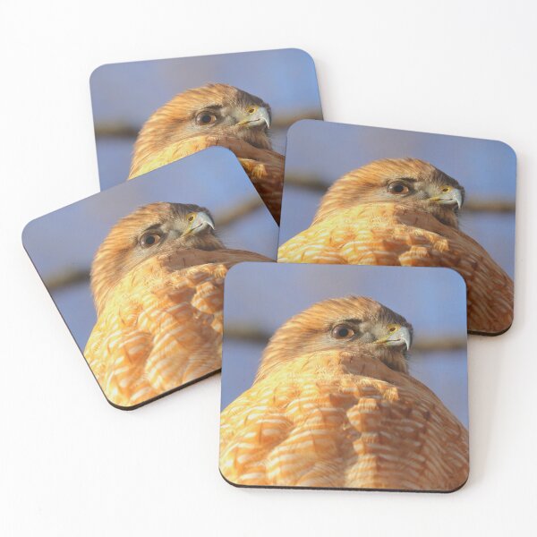Item preview, Red shouldered hawk designed and sold by Parks and X.
