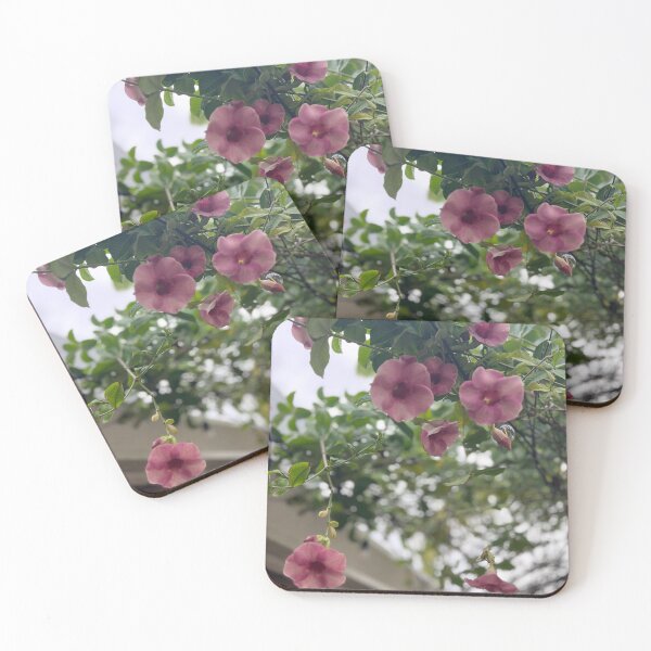 Item preview, Allamanda flowers designed and sold by Calamity Gene.