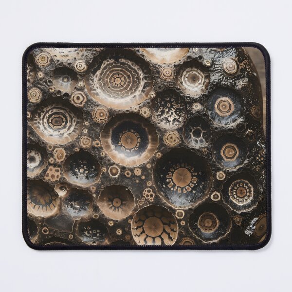 Item preview, Cosmic Fossils designed and sold by Orca Chuckle Studios.