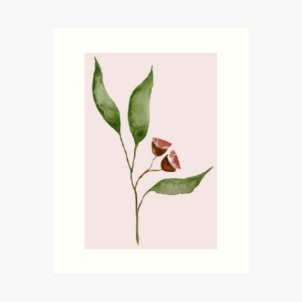 Item preview, Flowering Gum Nut designed and sold by Maggie-Rig.