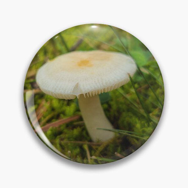 Item preview, White Mushroom designed and sold by artbysarahd.
