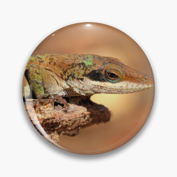 Item preview, Green anole  designed and sold by Parks and X.