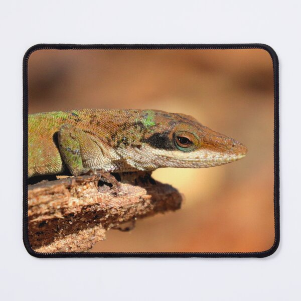 Item preview, Green anole  designed and sold by Parks and X.