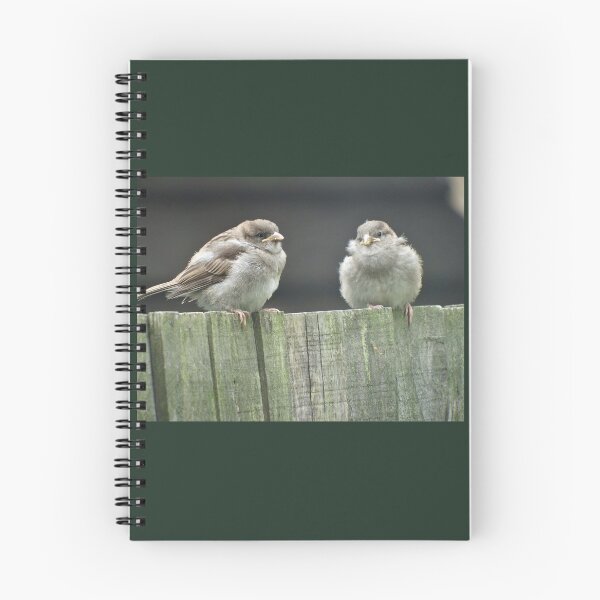 Item preview, Fledged Friends  designed and sold by TAMalloyPhoto.