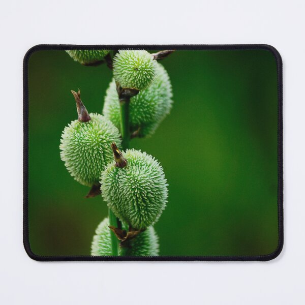 Item preview, Flowers 54 - (c) ben yassa designed and sold by beny .