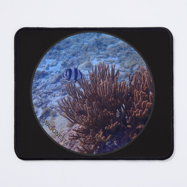 Item preview, Underwater - Banded Butterfly Fish ln Bonaire by Wagonesta designed and sold by Wagonesta.