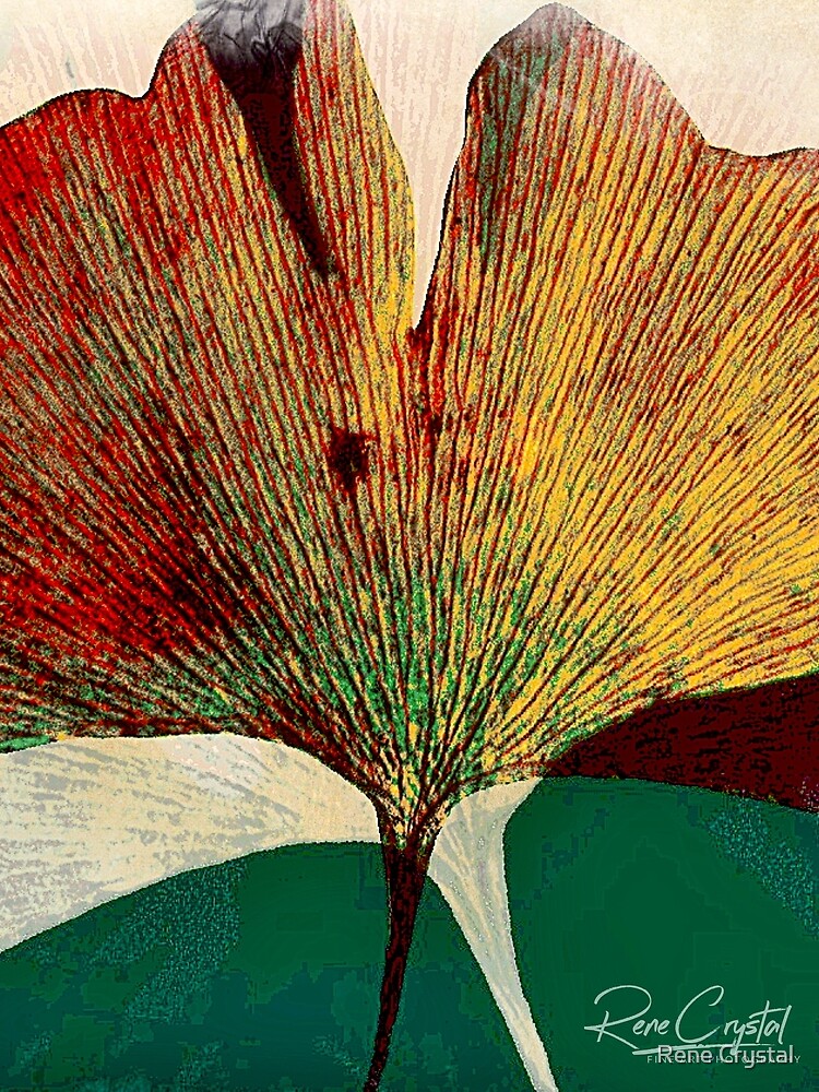 Ginkgo de Mayo by imagesbycrystal