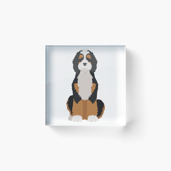 Item preview, Bernedoodle Sitting designed and sold by JoeyScottMedia.