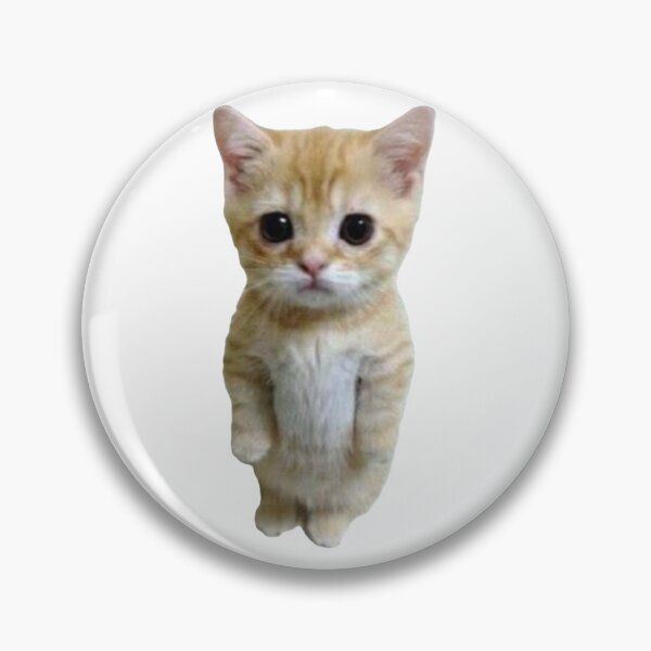 Item preview, Cat Standing Up Meme designed and sold by Addison P.