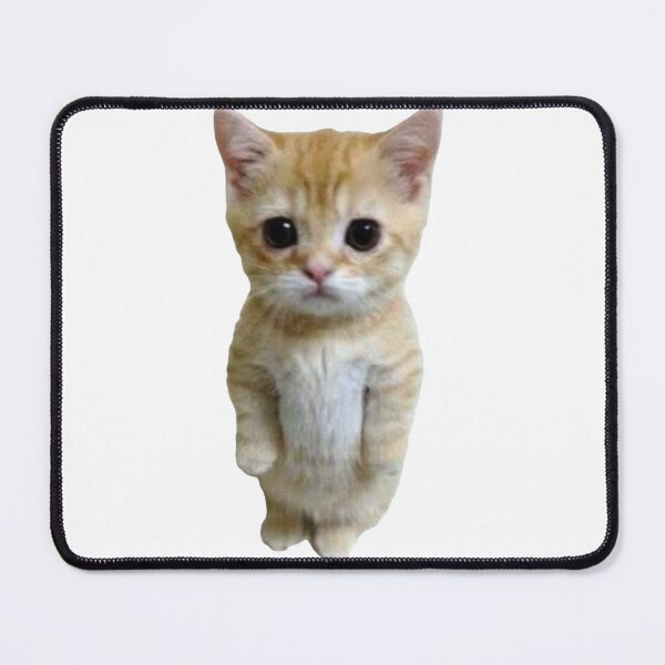 Item preview, Cat Standing Up Meme designed and sold by Addison P.