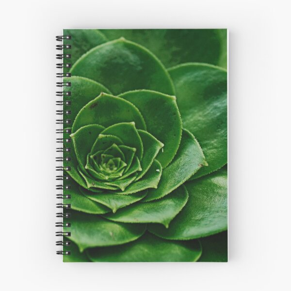 Item preview, Leaf 7 - (c) ben yassa designed and sold by beny .