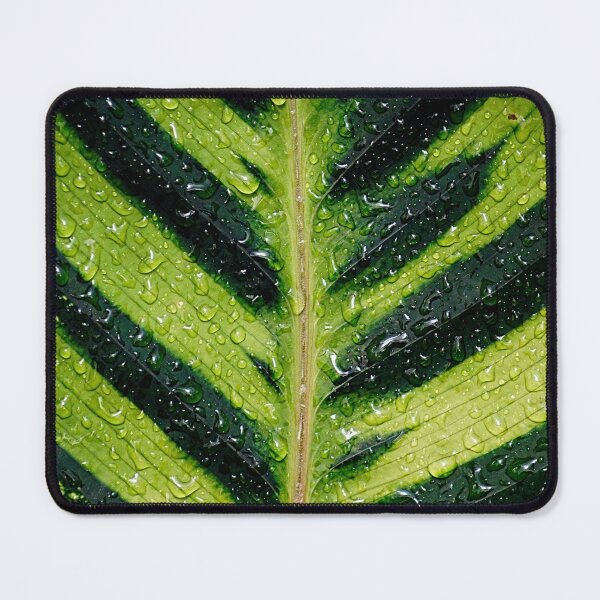 Item preview, Leafe 10 - (c) ben yassa designed and sold by beny .