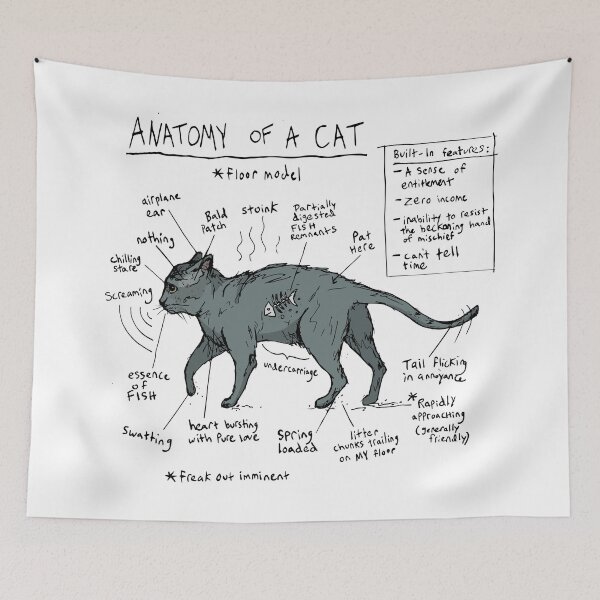 Item preview, ANATOMY OF A CAT designed and sold by olivia-krig.
