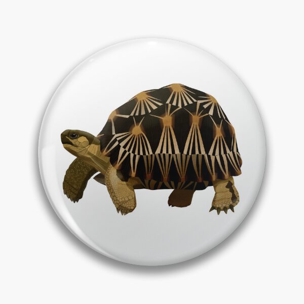 Item preview, Radiated Tortoise designed and sold by Rie-TortoTurtle.