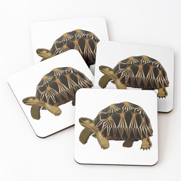 Item preview, Radiated Tortoise designed and sold by Rie-TortoTurtle.