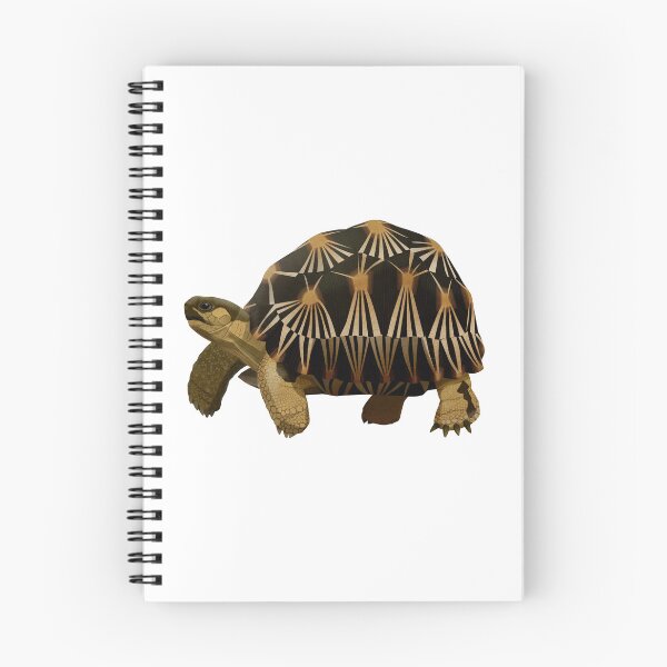 Item preview, Radiated Tortoise designed and sold by Rie-TortoTurtle.