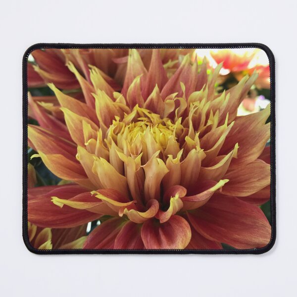 Item preview, Brilliant Colors designed and sold by Betsy Phillips.