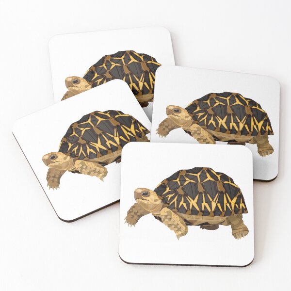 Item preview, Burmese Star Tortoise designed and sold by Rie-TortoTurtle.
