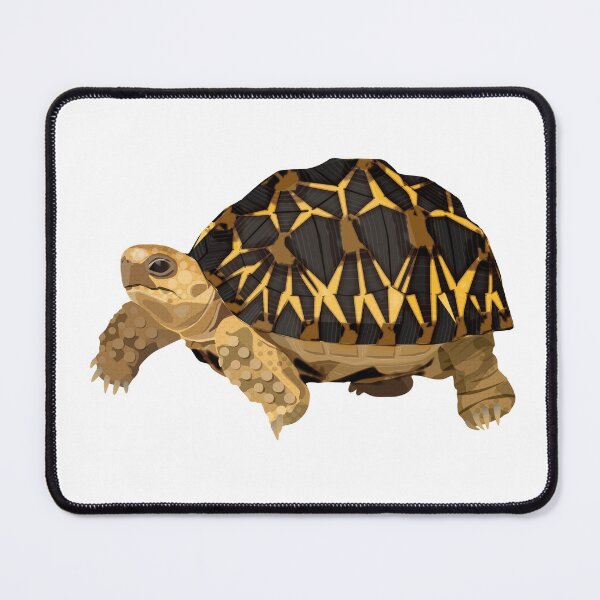 Item preview, Burmese Star Tortoise designed and sold by Rie-TortoTurtle.