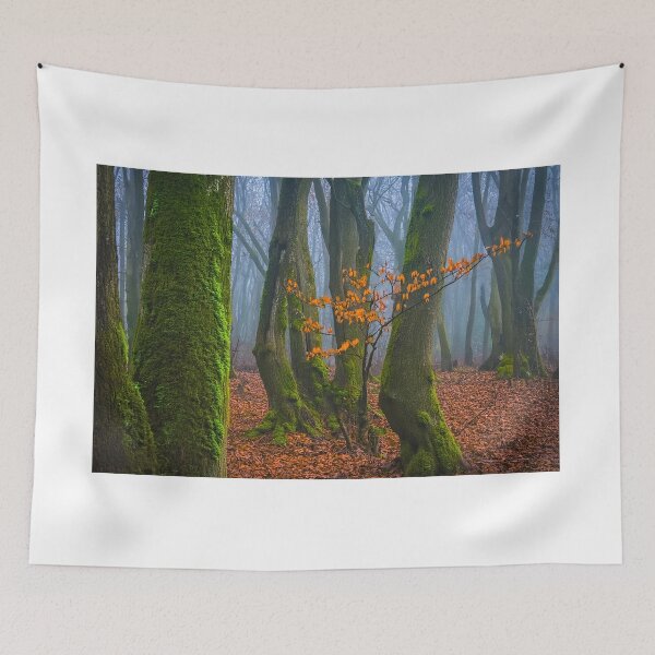 Item preview, Moss designed and sold by andreisky.