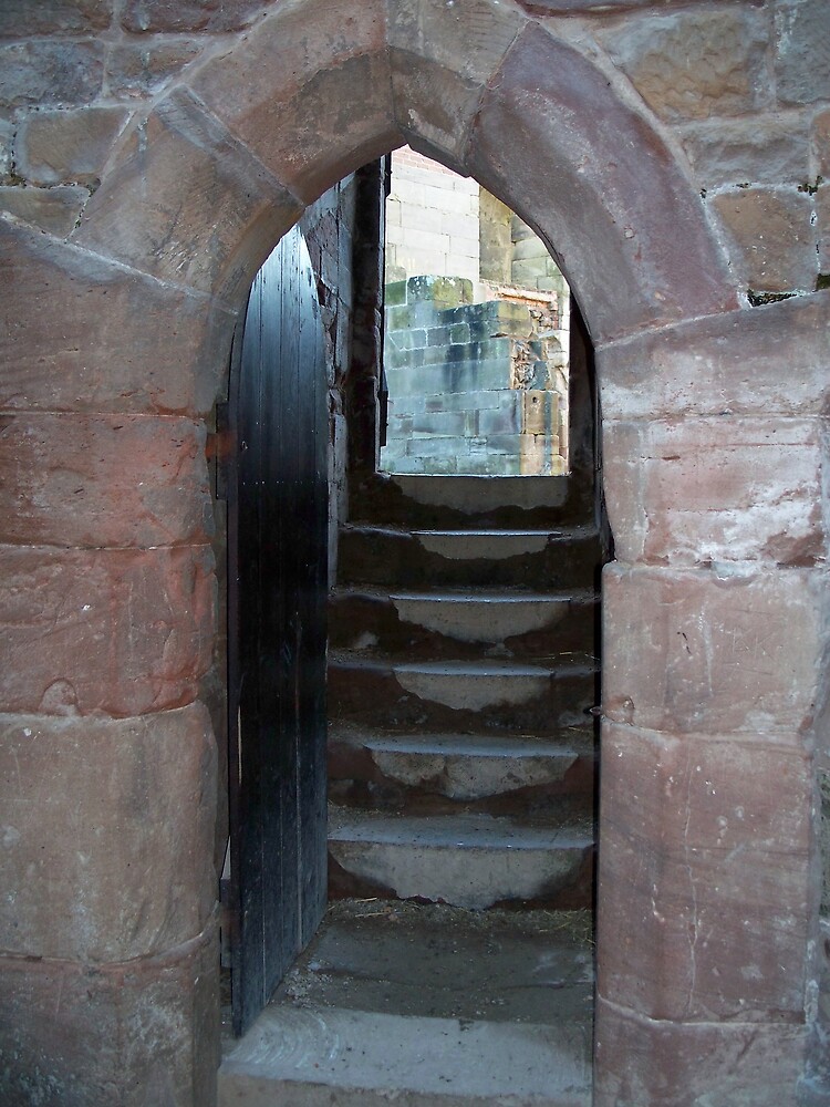 Stafford Castle 2 by robsteadman