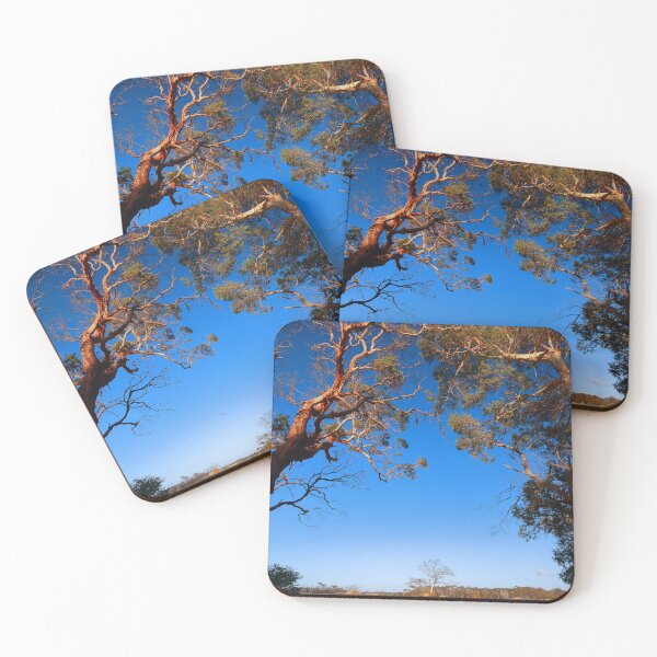 Item preview, Morning light on Gum Trees designed and sold by phillip wise.