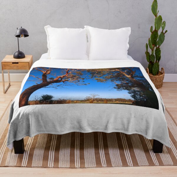 Item preview, Morning light on Gum Trees designed and sold by phillip wise.