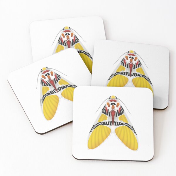 Item preview, Clown Face Tiger Moth designed and sold by swiatek.