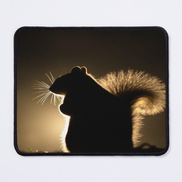 Item preview, Cute squirrel from behind designed and sold by Zoa220.