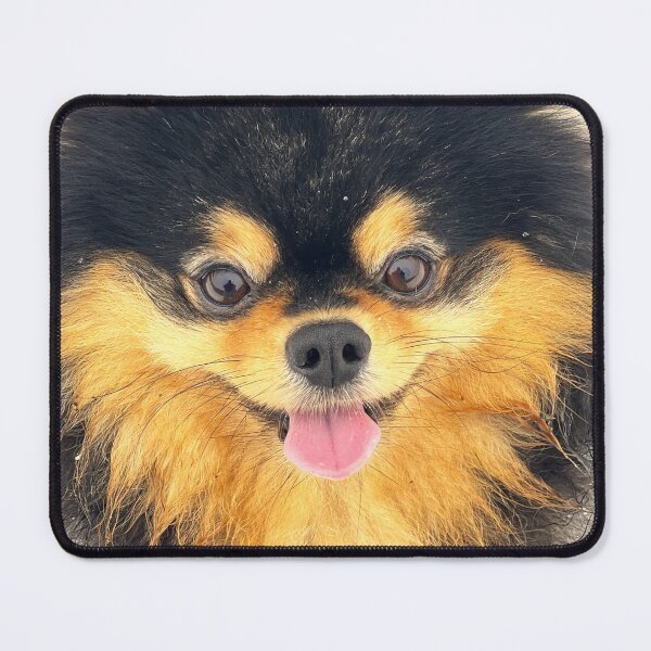 Item preview, pomeranian dog designed and sold by 3Spirit.