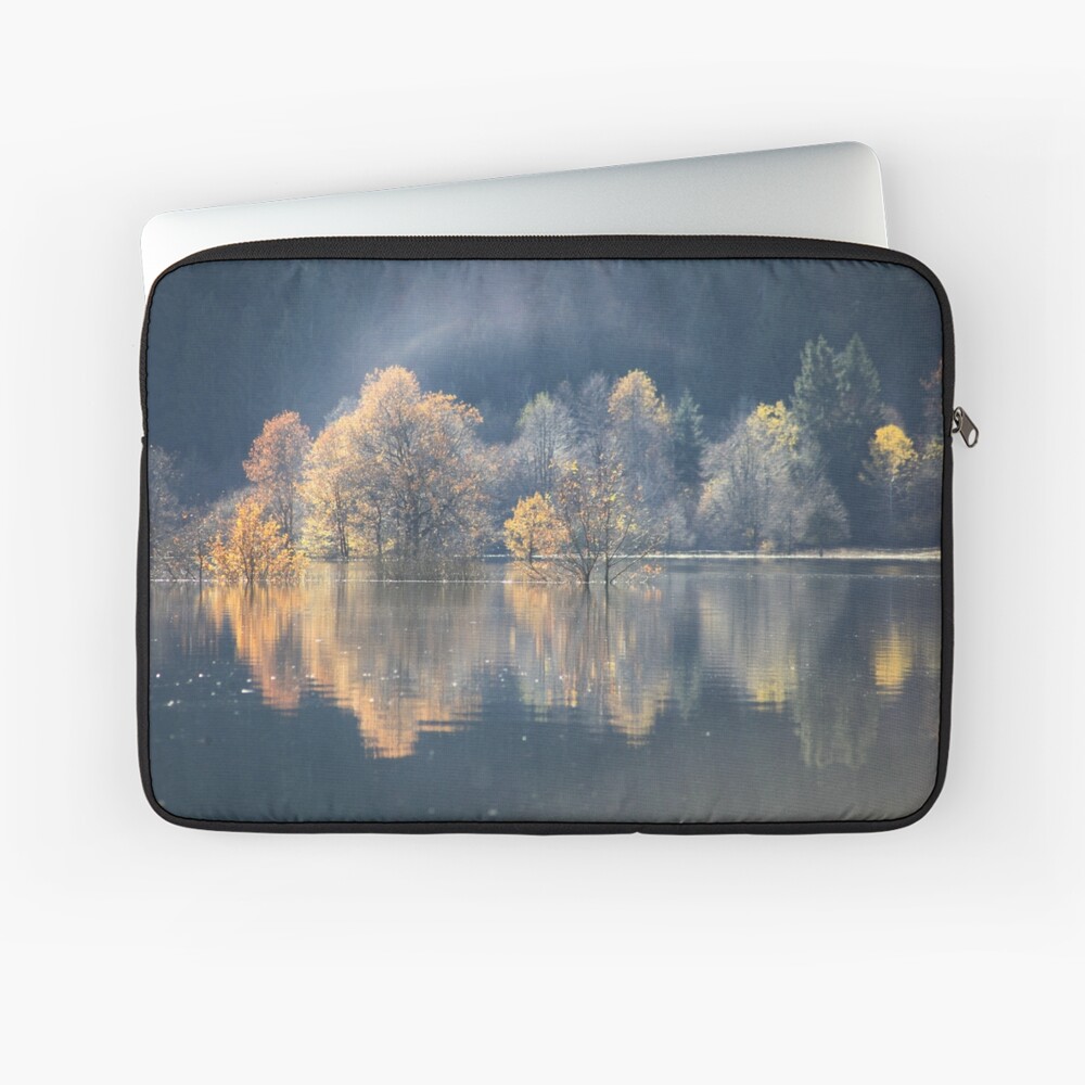 Artikel-Vorschau von Laptoptasche, designt und verkauft von 3Spirit.
