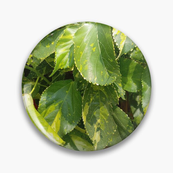 Item preview, Vibrant Variegated Leaves - Nature's Green and Yellow Pattern designed and sold by thoratsdesign.