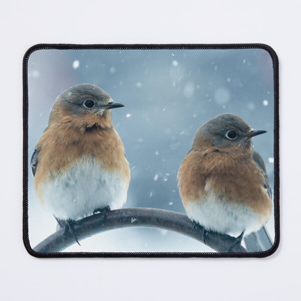 Item preview, Blue Birds through my window designed and sold by FlyingLilly.