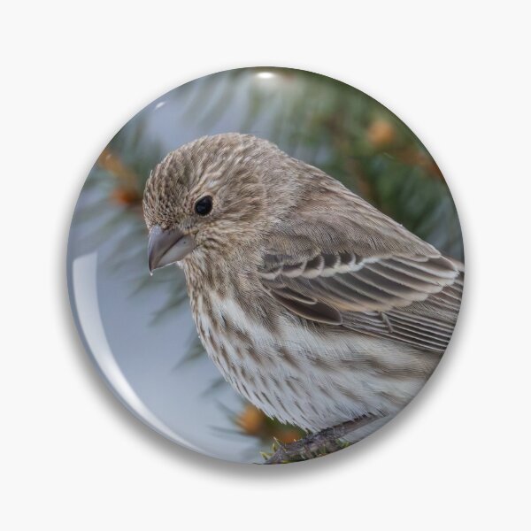 Item preview, House finch in our christmas tree designed and sold by FlyingLilly.