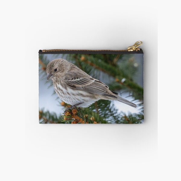 Item preview, House finch in our christmas tree designed and sold by FlyingLilly.