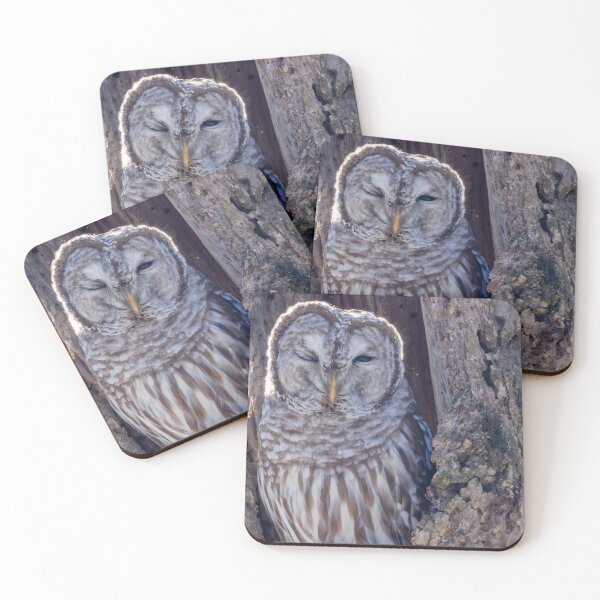 Item preview, Winking Barred Owl designed and sold by FlyingLilly.