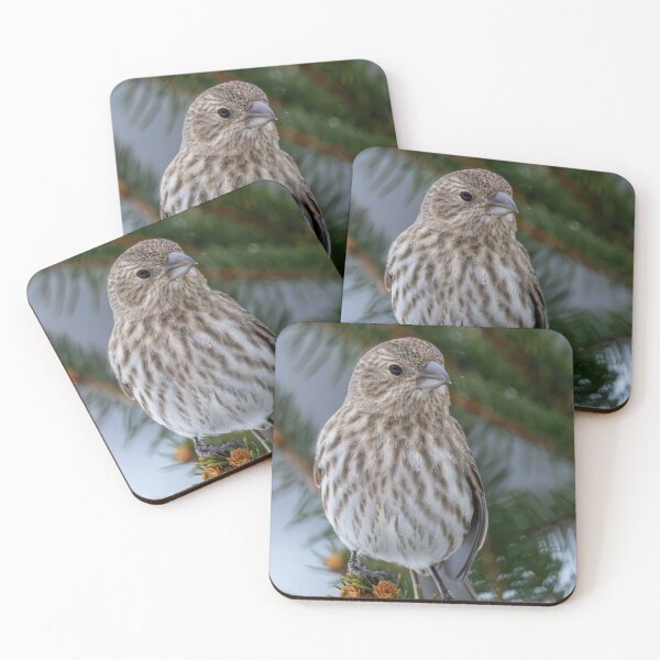 Item preview, House finch in pines designed and sold by FlyingLilly.
