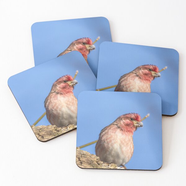 Item preview, Purple finch in the winter snow designed and sold by FlyingLilly.