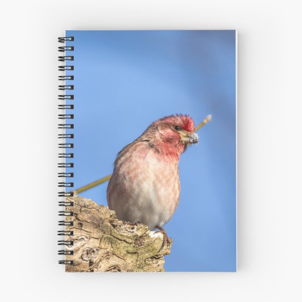 Item preview, Purple finch in the winter snow designed and sold by FlyingLilly.